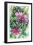 Pink Orchid-Michelle Faber-Framed Giclee Print