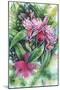 Pink Orchid-Michelle Faber-Mounted Giclee Print