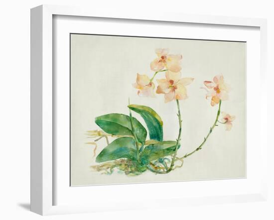 Pink Orchid-Maya Woods-Framed Art Print