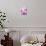 Pink Orchids-null-Mounted Photographic Print displayed on a wall