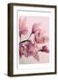 Pink Orchids-Urban Epiphany-Framed Art Print