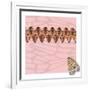 Pink Pacha in Line-Belen Mena-Framed Giclee Print