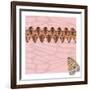 Pink Pacha in Line-Belen Mena-Framed Giclee Print
