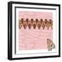 Pink Pacha in Line-Belen Mena-Framed Giclee Print