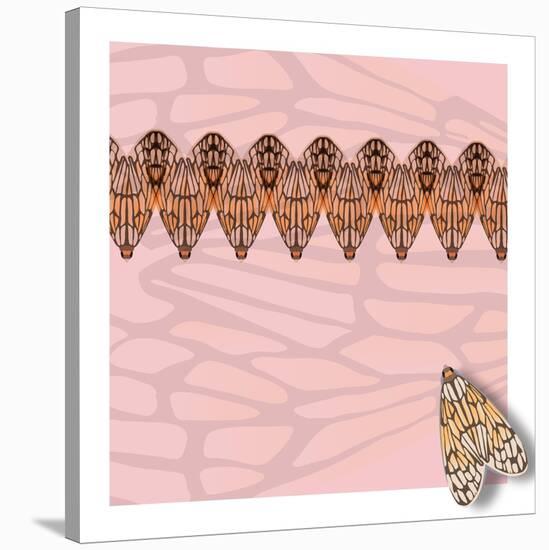 Pink Pacha in Line-Belen Mena-Stretched Canvas