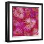 Pink Palm Fronds Pattern-Bee Sturgis-Framed Art Print