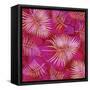 Pink Palm Fronds Pattern-Bee Sturgis-Framed Stretched Canvas