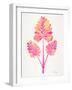 Pink Palm Leaf Trifecta-Cat Coquillette-Framed Giclee Print