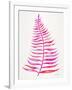 Pink Palm Leaf-Cat Coquillette-Framed Giclee Print