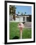 Pink Palm Springs II-Bethany Young-Framed Photographic Print