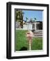 Pink Palm Springs II-Bethany Young-Framed Photographic Print