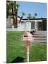 Pink Palm Springs II-Bethany Young-Mounted Photographic Print