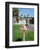 Pink Palm Springs II-Bethany Young-Framed Premium Photographic Print