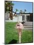 Pink Palm Springs II-Bethany Young-Mounted Premium Photographic Print