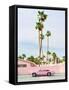 Pink Palm Springs-Bethany Young-Framed Stretched Canvas