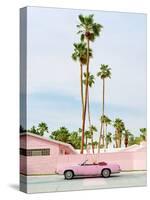 Pink Palm Springs-Bethany Young-Stretched Canvas