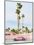 Pink Palm Springs-Bethany Young-Mounted Photographic Print