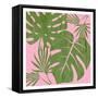 Pink Paradise 1-Sheldon Lewis-Framed Stretched Canvas