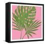 Pink Paradise 2-Sheldon Lewis-Framed Stretched Canvas