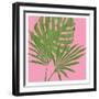 Pink Paradise 2-Sheldon Lewis-Framed Art Print