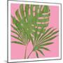 Pink Paradise 2-Sheldon Lewis-Mounted Art Print