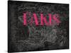 Pink Paris Map-Jace Grey-Stretched Canvas