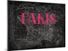 Pink Paris Map-Jace Grey-Mounted Art Print