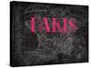 Pink Paris Map-Jace Grey-Stretched Canvas