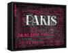 Pink Paris Type-Jace Grey-Framed Stretched Canvas