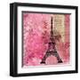 Pink Paris-LuAnn Roberto-Framed Art Print