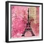 Pink Paris-LuAnn Roberto-Framed Art Print