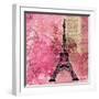 Pink Paris-LuAnn Roberto-Framed Art Print