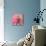 Pink Paris-LuAnn Roberto-Mounted Art Print displayed on a wall