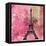 Pink Paris-LuAnn Roberto-Framed Stretched Canvas