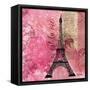 Pink Paris-LuAnn Roberto-Framed Stretched Canvas