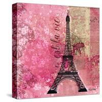 Pink Paris-LuAnn Roberto-Stretched Canvas