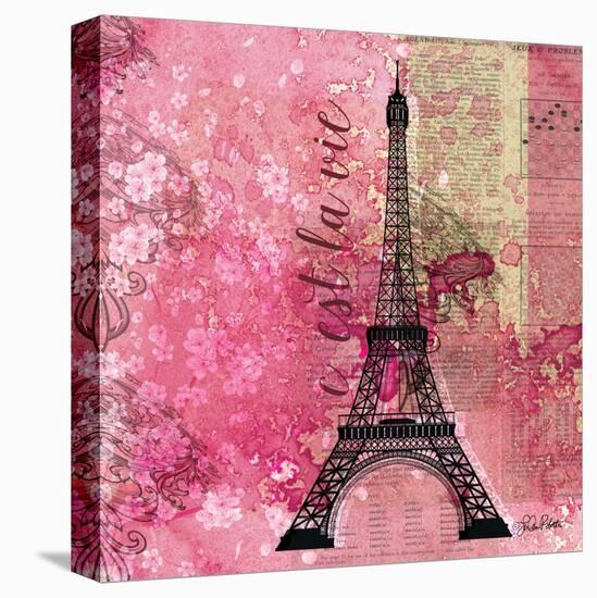 Pink Paris-LuAnn Roberto-Stretched Canvas