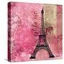 Pink Paris-LuAnn Roberto-Stretched Canvas