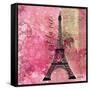 Pink Paris-LuAnn Roberto-Framed Stretched Canvas