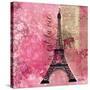 Pink Paris-LuAnn Roberto-Stretched Canvas