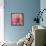 Pink Paris-LuAnn Roberto-Framed Stretched Canvas displayed on a wall