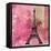 Pink Paris-LuAnn Roberto-Framed Stretched Canvas