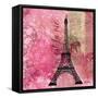 Pink Paris-LuAnn Roberto-Framed Stretched Canvas