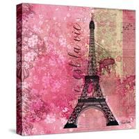 Pink Paris-LuAnn Roberto-Stretched Canvas