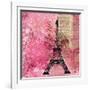 Pink Paris-LuAnn Roberto-Framed Art Print