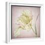 Pink Parrot Tulip Painting I-Cora Niele-Framed Giclee Print