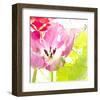 Pink Parrot Tulip-Judy Stalus-Framed Art Print