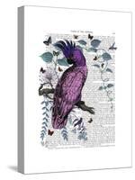 Pink Parrot-Fab Funky-Stretched Canvas