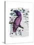 Pink Parrot-Fab Funky-Stretched Canvas