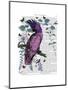 Pink Parrot-Fab Funky-Mounted Art Print